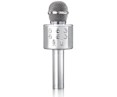 Lenco BMC-040SI Karaoke Microphone