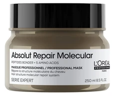 L'Oreal Professionnel Serie Expert Absolut Repair Molecular Hair Treatment Kreminis Mask For Repairing, 250 ml