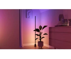„Philips Hue Play Extra“ grindų lempa