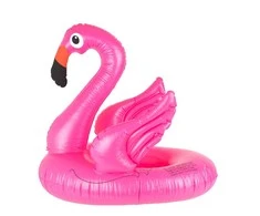 RoGer vaikų plaukimo čiužinys Flamingo