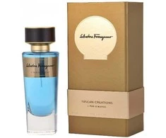 Salvatore Ferragamo E Pur Si Muove EDP parfumuotas vanduo unisex, 100 ml