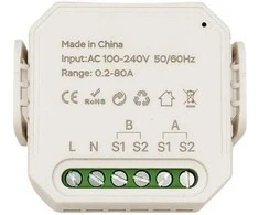 Shanghai Bituo Electric Tuya Wi-Fi Smart 2-Pole Energy Meter 80A