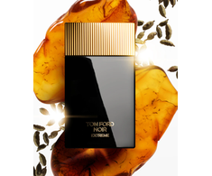 Tom Ford Noir Extreme Perfume EDP 100 ml