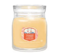 Yankee Candle Slopeside Spritz kvepianti žvakė, 368 g
