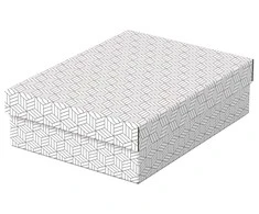 Daiktadėžė ESSELTE, su dangteliu, 265x100x360 balta-pilka (3vnt./pak.)