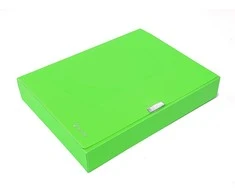 Dėklas - dėžutė dokumentams PANTA PLAST Neon, PP, A4, 55 mm, žalios sp.