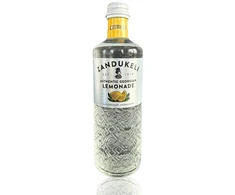 Gazuotas gaivusis gėrimas ZANDUKELI, citrinų skonio, 0,5 l