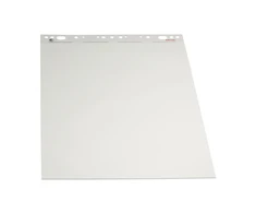 Konferencijų bloknotas ESSELTE, 590 x 830 mm, lygus, 50 lapų