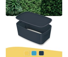 Leitz Daiktadėžė Cozy L:MyBox su dangteliu, maža, pilkos sp.