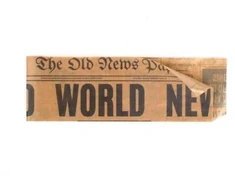 Maišeliai amerikietiškam dešrainiui OLDNEWS, popierinis, su PE, 21x7cm, 250 vnt