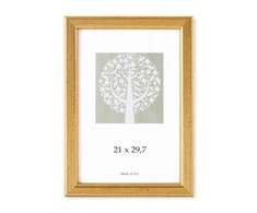Savex Nuotraukų rėmelis, plastikinis, A4, 21x29,7 cm, aukso sp.