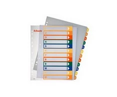 Plastikiniai spalvoti skiriamieji lapai ESSELTE, 1-12, A4, MAXI