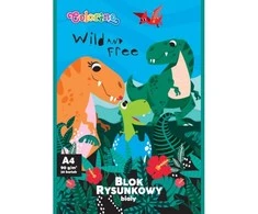Rinkinys pradinukui Premium Colorino