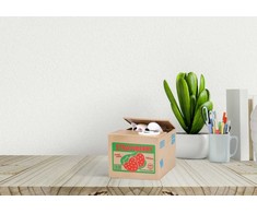 Taupyklė iTotal, Box Cat