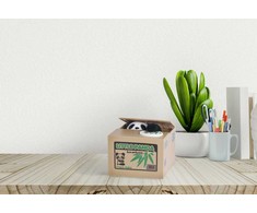 Taupyklė iTotal, Box Panda