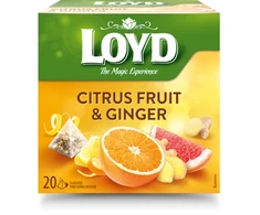 Vaisių ir žolelių arbata LOYD, imbiero ir citrusinių vaisių skonio, 20 x 2g