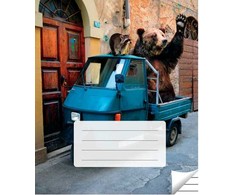 Victor Stationery Ou Sąsiuvinis linijomis, 36 lapai. Vidinių lapų gramatūra – 90 g/m2.