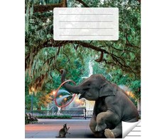 Victor Stationery Ou Sąsiuvinis linijomis, 36 lapai. Vidinių lapų gramatūra – 90 g/m2.