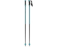 ATOMIC REDSTER X Carbon SQS slidinėjimo lazdos (Dydis: 130cm)