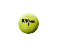 WILSON ROLAND GARROS 5 MINI JUMBO teniso kamuoliukas