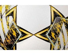 Futbolo kamuolys Select Numero 10 Dydis 4