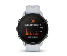Garmin „QuickFit®“ 22 mm laikrodžio dirželiai Baltojo akmens spalvos silikonas