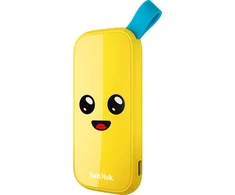 Kietasis diskas SANDISK FORTNITE PORTABLE SSD - PEELY EDITION 2TB
