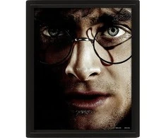 E Druk Pyramid HARRY POTTER (HARRY VS VOLDEMORT) - FRAMED
