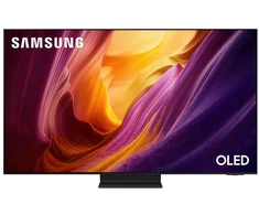 Televizorius Samsung QE55S95HFTXXH