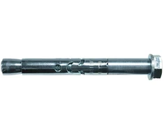 Fischer Ankeris su varžtu FSA S 10/60 10x115 mm