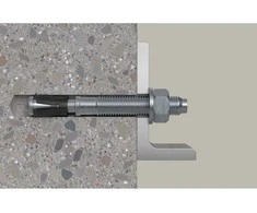 Inkarinis varžtas FAZ II Plus 12/10 ZP, 12x110 mm. FISCHER