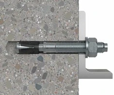 Inkarinis varžtas FAZ II Plus 8/50, 8x115 mm, 50 vnt. Fischer
