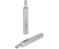 Antgalis TORX su skyle 15x75 mm, RICHMANN, 2vnt.