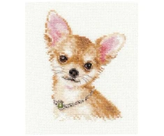 Alisa Beldizart Chihuahua S1-30