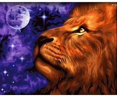 Wizardi Beldizart Dailininko rinkinys 40x50 cm H073