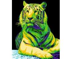 Wizardi Beldizart SALE Dailininko rinkinys 40x50 cm H139