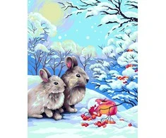 Wizardi Beldizart Dailininko rinkinys 40x50 cm L018