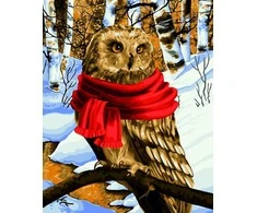 Wizardi Beldizart Dailininko rinkinys 40x50 cm L022