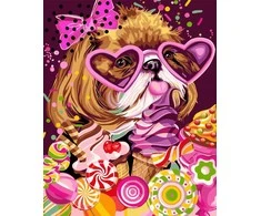 Wizardi Beldizart Dailininko rinkinys 40x50 cm R008