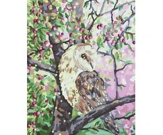 Tapyba pagal numerius Wizardi Beldizart Piešimas pagal skaičius rinkinys Pelėda. Pagal Kate Shi 40x50 cm W007