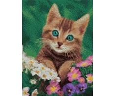 Beldizart (Nutraukta) Deimantinė tapyba su subrėmeliu "Mielos akys" 30*40 cm VA023