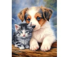 Beldizart Deimantinė mozaika su porėmiu "Friends" 40x50 cm DP413
