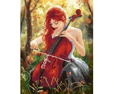 Beldizart Deimantinės mozaikos rinkinys su porėmiu "Cello" 30x40 cm VA910