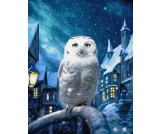 Beldizart Deimantų tapyba su porėmiu "Magic Owl" 40x50 cm DP415