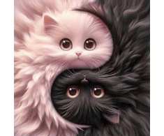 Wizardi Beldizart Deimantų paveikslėlio rinkinys "Yin Yang" 20x20 cm WD3201