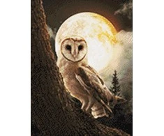 Wizardi Beldizart Mysterious Owl 30*40 WD3066