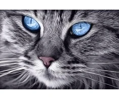Wizardi Beldizart Deimantines mozaikos rinkinys WD2517