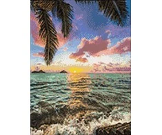 Wizardi Beldizart Oceano saulėlydis 30*40 WD3045