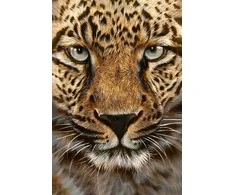 Wizardi Beldizart EAN 4630033464119 WD069