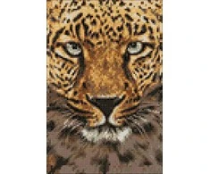 Wizardi Beldizart EAN 4630033464119 WD069
